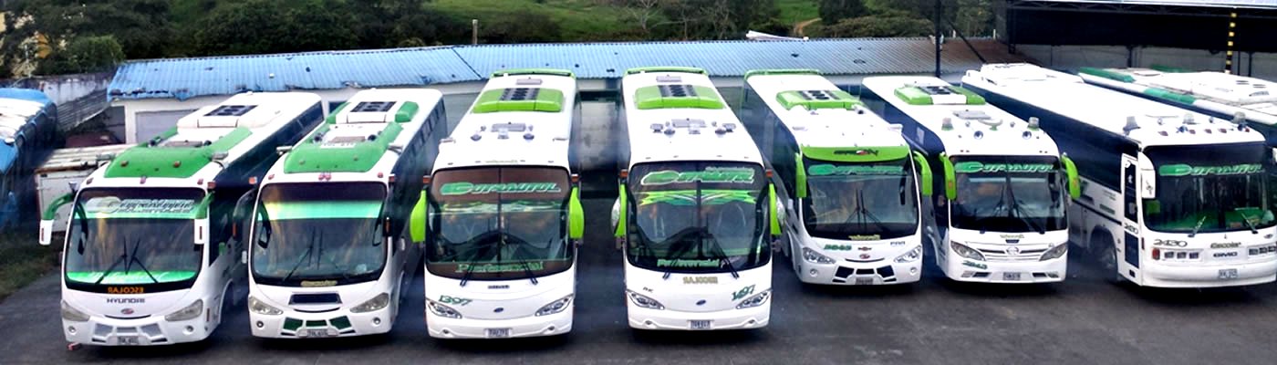 Servicio especial, transporte escolar, particulares, asalariados y  turismo