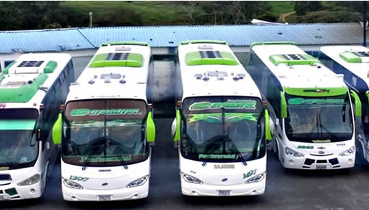 Servicio de transporte especial en Ibagué - Cotrautol